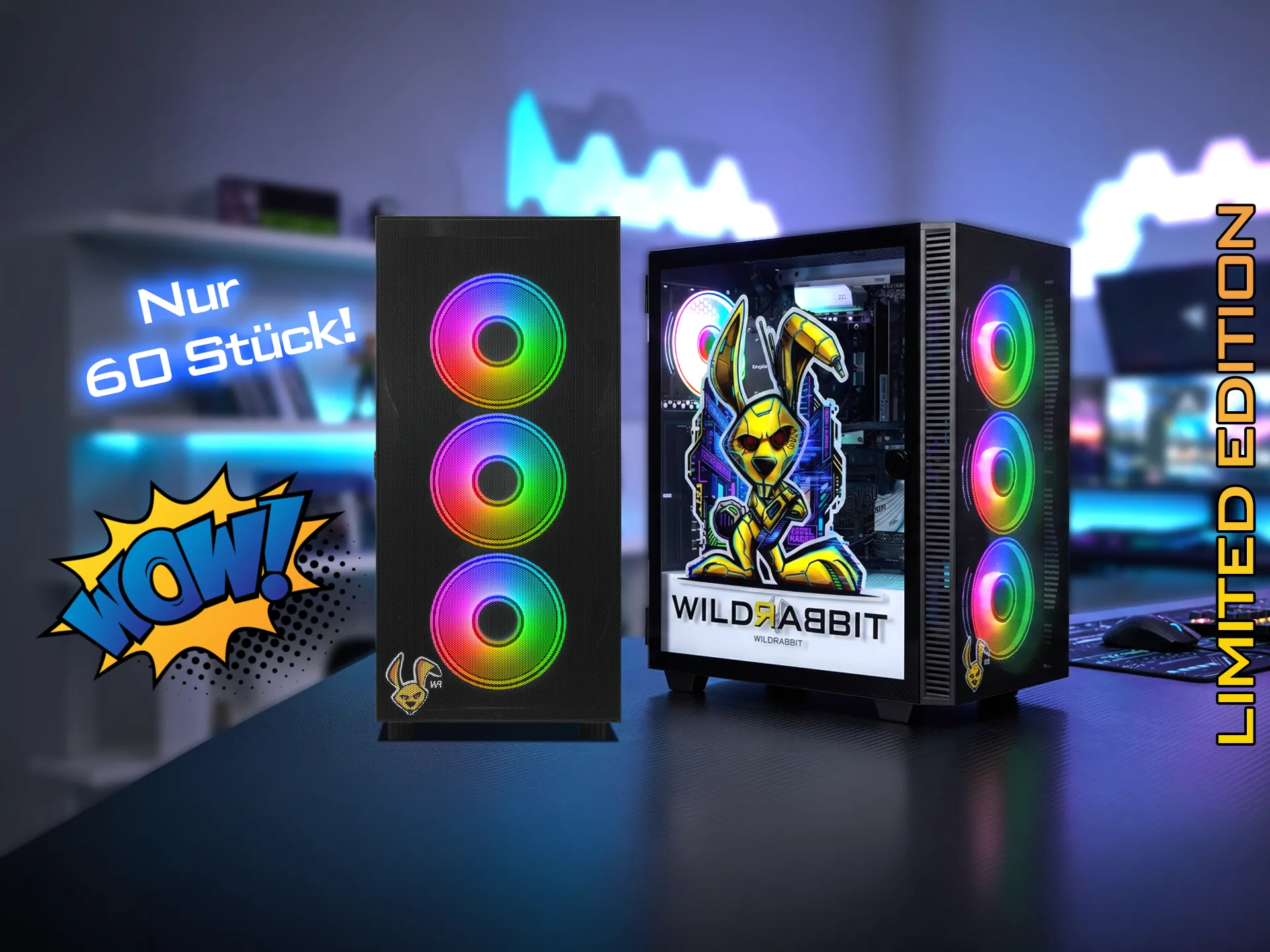 https://www.ankermann.com/de/pc-systeme/rebelrabbit-limited-edition-amd-ryzen-7-9700x-amd-rx-9060xt-16gb-32gb-ddr5-ram-1tb-kingston-windows-11-wlan-bluetooth_4260561747035.html