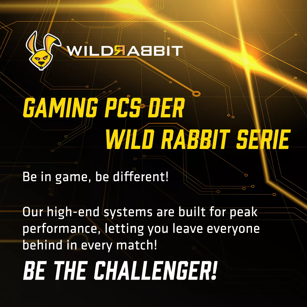 WILDRABBIT Gaming PC | Ryzen 7 7800X3D | Nvidia GeForce RTX 4070 Ti Super 16GB | 32GB DDR5 RAM | 2TB NVMe SSD | Windows 11 | WLAN & Bluetooth